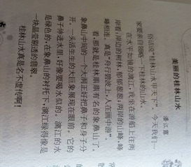 摘抄,兩句,詩句,描寫