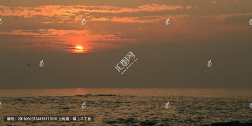 關(guān)于海島日出的詩句