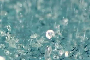 五級有關(guān)于夏天的詩句