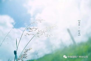 消逝古詩(shī)句