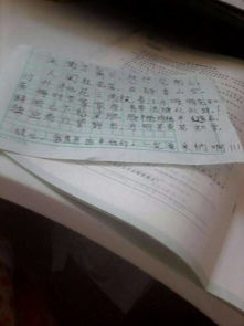 描寫(xiě)山水的小學(xué)詩(shī)句古詩(shī)詞