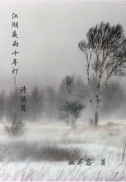 關(guān)于酒江的詩句