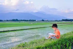 春風(fēng)吹草長(zhǎng)的古詩(shī)句