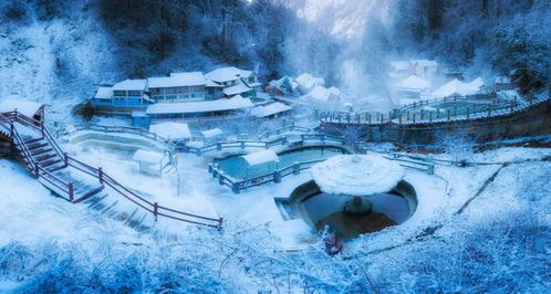 關(guān)于冬季景色的詩句有哪些