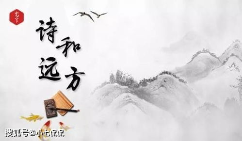 寫自己兒子的詩(shī)句,寫自己老了的詩(shī)句,寫自己生日的詩(shī)句