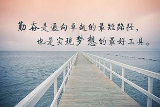 關(guān)于勤奮和執(zhí)著的詩句