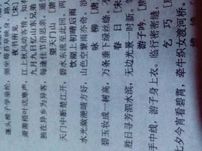 五字關(guān)于雨的詩句大全