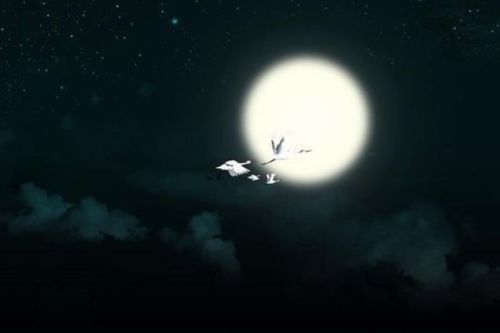 那首五言古詩描寫月亮的詩句