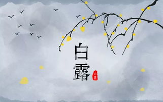 關(guān)于露的詩句大全