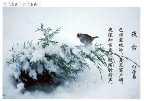 7到8級關(guān)于寫雪的詩句