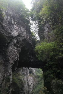 古人關于美景的詩句有哪些