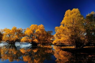 秋天有關(guān)水的詩句古詩