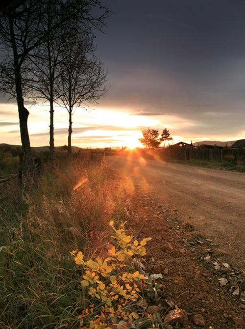 秋風(fēng)關(guān)于思鄉(xiāng)的詩句古詩詞