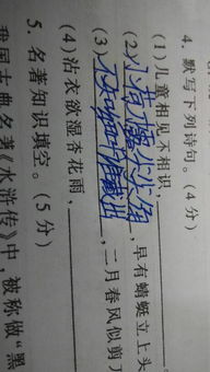 搞不懂的古詩(shī)句子