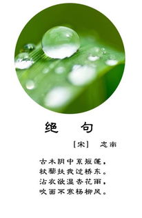 關于描寫春雨的詩句古詩,描寫春雨的詩句古詩名句,描寫春雨春雷的詩句古詩
