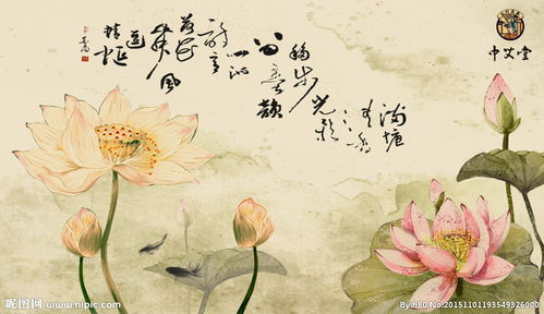 關于蓮花和魚的詩句