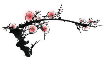 詩(shī)句,學(xué)了,梅花,初中