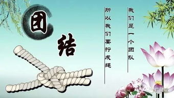 關(guān)于工作團(tuán)結(jié)的一篇詩(shī)句