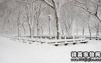 古詩,詩句,嬉戲,雪中