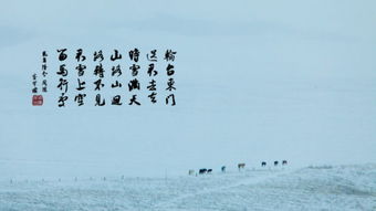 關(guān)于景物的古詩句,描寫景物的古詩句,夏季景物的古詩句