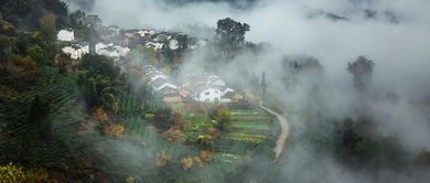 詩情,古詩,詩句,田園