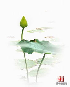 關于自尊平等的詩句