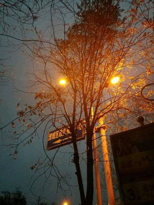 關(guān)于冬雨的古詩(shī)句大全,關(guān)于描寫(xiě)冬雨的古詩(shī)句,描寫(xiě)冬雨的古詩(shī)句有哪些