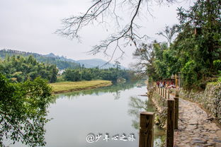 關(guān)于云水謠詩(shī)句