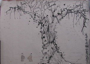 樹(shù)的詩(shī)句古詩(shī),描寫樹(shù)的詩(shī)句古詩(shī),樹(shù)開(kāi)頭的詩(shī)句古詩(shī)