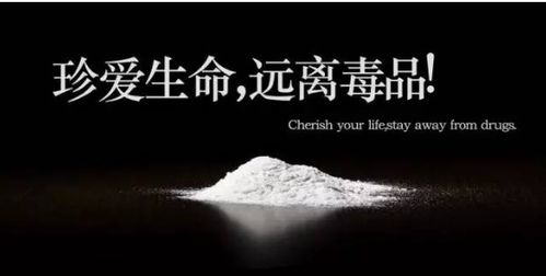 關(guān)于禁毒的文章詩句名句