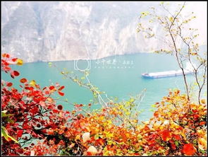 古詩(shī)中含有紅的詩(shī)句