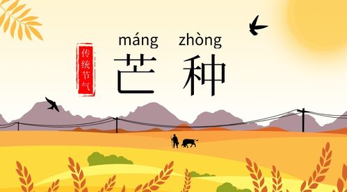 形容盛會(huì)的古詩(shī)句