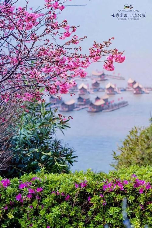 萬物更新的古詩句