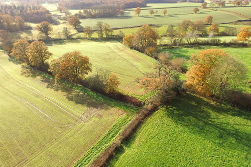 朋友之情禾口田園風(fēng)光的古詩(shī)句