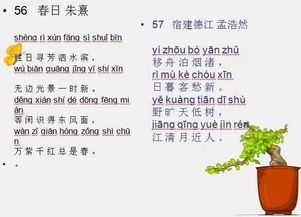 古詩,詩句,帶有,小學