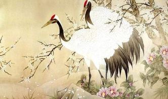 關(guān)于保護(hù)鳥的詩(shī)句古詩(shī)