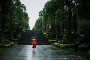 古詩中形容美好環(huán)境的詩句