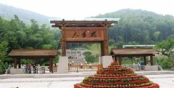 關于大香林的詩句