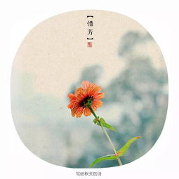 寫秋天的水的詩句古詩大全