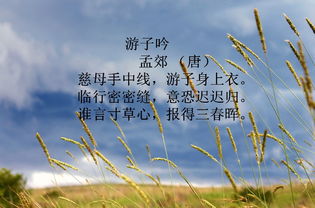 慈母,詩句,情深