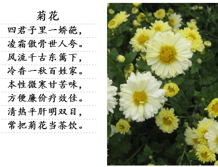 詩(shī)句,美滿(mǎn),愛(ài)情