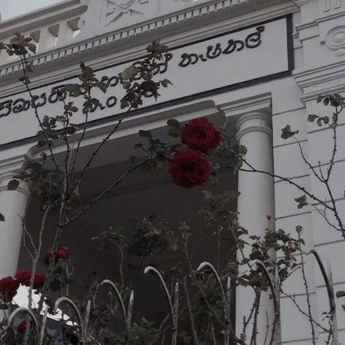 古詩(shī)中帶九域的詩(shī)句