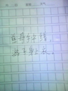 關(guān)于親情的詞語和詩句名言警句