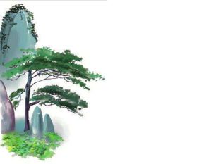 華山,松樹,古詩,詩句