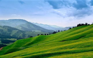 關(guān)于迷人的夏季牧場的詩句