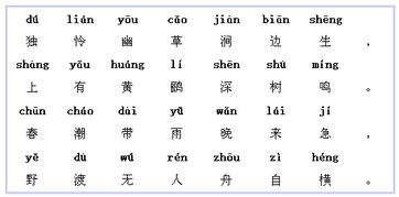 滁州西澗古詩(shī)句解