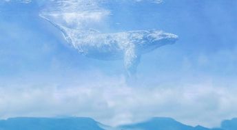 鯤鵬,詩句,描寫