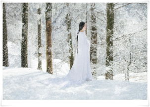 大雪紛飛的古詩句