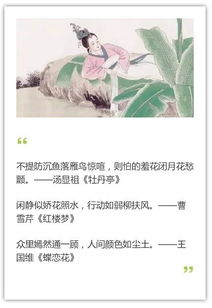 古詩詞稱贊女子詩句