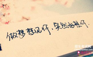 關于思念的好詩句